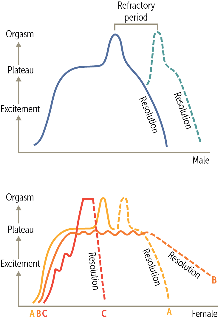 Brick Exchange Sexual Function and Satisfaction